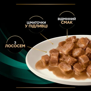 Упаковка вологого дієтичного корму для кошенят та дорослих котів Pro Plan Veterinary Diets EN Gastrointestinal для зменшення розладів кишкової абсорбції та годування в період відновлення, з лососем 10x85 г