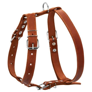 Шлея "CoLLaR" одинарная  (ширина 25мм, А:49-68см, В:68-80см), коричневый