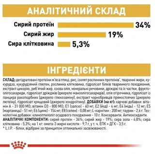 Сухий корм Royal Canin British Shorthair Adult для котів породи британська короткошерста від 12 місяців 10 кг