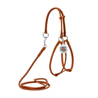 Шлея з повідцем для собак шкіряна WAUDOG Soft з QR паспортом, кругла, Д 6 мм, А 26-46 см, В 30-40 см, коричнева