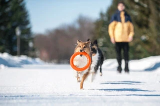 Кільце для апортування PitchDog 30, діаметр 28 см, оранжеве