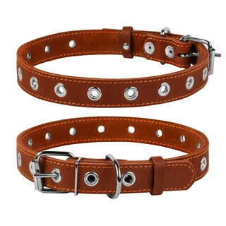 Нашийник "CoLLaR" безрозмірний (ширина 25мм, довжина 60см), коричневий