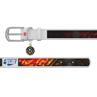 Нашийник для собак шкіряний WAUDOG Design з QR паспортом, малюнок "Ліга Справедливості", Ш 15 мм, Дл 26-35 см, білий