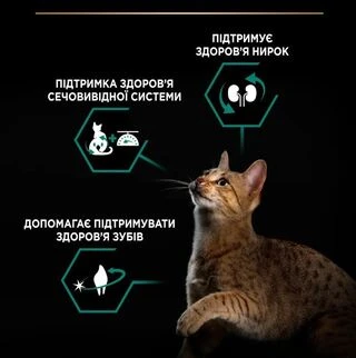 Сухой корм для котов Purina Pro Plan Sterilised Renal Plus с индейкой 1.5 кг (НФ-00000360)