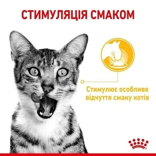 ПАК.Вологий корм Royal Canin SENSORY TASTE GRAVY (Соус) для дорослих котів вибагливих у харчуванні 12 шт по 85 г