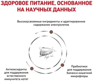 Сухий корм для кошенят Royal Canin Gastrointestinal Kitten 400 г