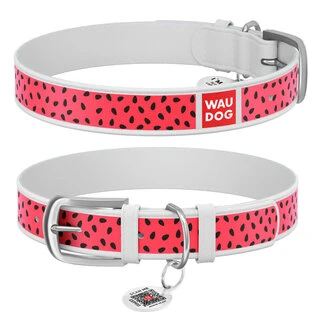 Нашийник WAUDOG Design з малюнком "Арбуз", преміум шкіра, металевий пряжка (ширина 12 мм, довжина 21-29 см), білий