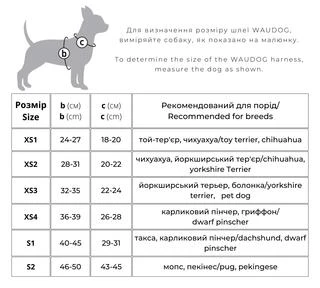 Шлея для собак мягкая WAUDOG Clothes c QR паспортом, "Colors of freedom", XS4,В 36-39 см, С 26-28 см