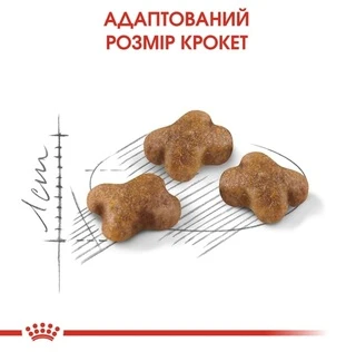 Сухой корм Royal Canin Kitten для котят от 4 до 12 месяцев 4 кг