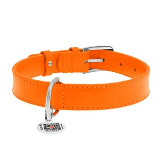Ошейник для собак кожаный WAUDOG Glamour с QR паспортом, без украшений, Ш 25 мм, Дл 38-49 см, оранжевый