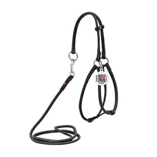 Шлея з повідцем для собак шкіряна WAUDOG Soft з QR паспортом, кругла, Д 6 мм, А 26-46 см, В 30-40 см, чорна