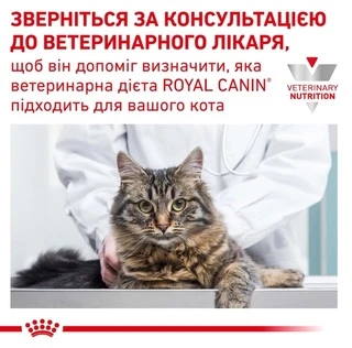 Сухой корм Royal Canin Urinary S/O Feline для взрослых котов с мочекаменной болезнью 3.5 кг