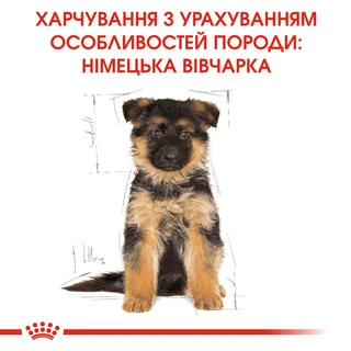 Сухой полнорационный корм для щенков Royal Canin German Shepherd Puppy собак породы немецкая овчарка в возрасте до 15 месяцев 3 кг
