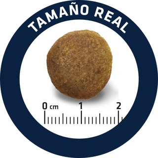 Сухой корм для взрослых немецких овчарок Advance Dog Maxi German Shepherd 12 кг (8410650171579)