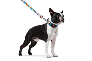 Поводок для собак нейлоновый WAUDOG Nylon, рисунок "ВАУ", Ш 20 мм, Дл 122 см