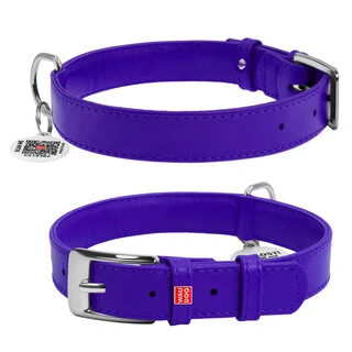 Нашийник для собак шкіряний WAUDOG Glamour з QR паспортом, без прикрас, Ш 25 мм, Дл 38-49 см, фіолетовий