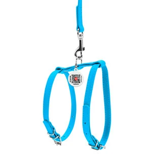 Шлея с поводком для собак кожаная WAUDOG Glamour c QR паспортом, Ш 9 мм, А 20-30 см, В 30-40 см, голубой
