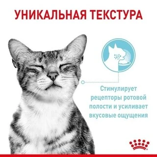 ПАК.Вологий корм Royal Canin SENSORY FEEL GRAVY (Соус) для дорослих котів вибагливих у харчуванні 12 шт по 85 г