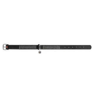 Нашийник для собак шкіряний WAUDOG Soft з QR паспортом, металеві прикраси, Ш 35 мм, Дл 46-60 см