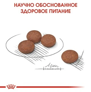 Сухий корм Royal Canin MINI DIGESTIVE CARE для дорослих собак Дрібних порід із чутливим травленням 3 кг