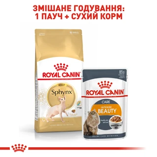 Сухий корм для дорослих котів породи сфінкс  Royal Canin Sphynx Adult 2 кг