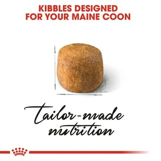 Сухий корм Royal Canin Maine Coon Adult для котів породи мейн-кун від 15 місяців 10 кг