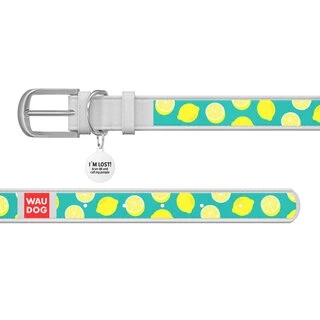 Нашийник WAUDOG Design з малюнком "Лимони", преміум шкіра, металевий пряжка (ширина 35 мм, довжина 46-60 см), білий