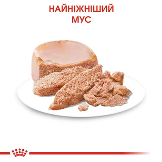 ПАК.Вологий корм для немовлят Royal Canin Starter Mouse 6 шт по 195 г