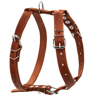 Шлея "CoLLaR" одинарная  (ширина 25мм, А:49-68см, В:68-80см), коричневый