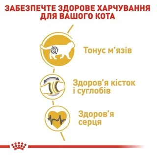 Сухий корм для котів британська короткошерста Royal Canin British Shorthair Adult від 12 місяців 4 кг