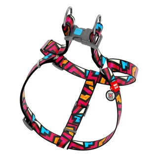 Анатомічний нашийник для собак WAUDOG Nylon з QR паспортом, малюнок "Графіті", пластиковий фастекс, Ш 15 мм, Дл 40-55 см