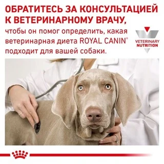 ПАК.Влажный корм Royal Canin Hypoallergenic &ndash; консервы для собак при нежелательной реакции на корм 6шт по 410г