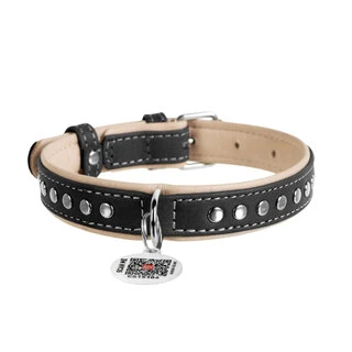 Нашийник для собак шкіряний WAUDOG Soft з QR паспортом, металеві прикраси, Ш 15 мм, Дл 27-36 см