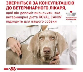 Сухой корм для собак Royal Canin Diabetic Dog при сахарном диабете 1.5 кг