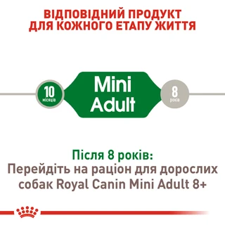 Сухой корм для собак Royal Canin Mini Adult мелких пород старше 10 месяцев 8 кг
