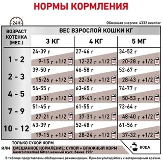 Сухий корм для кошенят Royal Canin Gastrointestinal Kitten 400 г