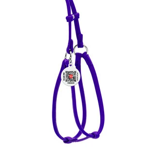 Шлея з повідцем для собак шкіряна WAUDOG Glamour з QR паспортом, кругла, Д 6 мм, А 26-46 см, В 30-50 см, фіолетова