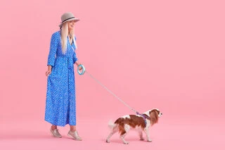 Поводок-рулетка для собак WAUDOG R-leash, круглая, XS-M, до 40 кг, 2,9 м, светоотражающая лента, голубой