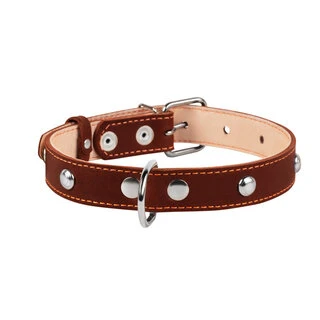 Нашийник "CoLLaR" подвійний з прикрасами (ширина 25мм, довжина 38-50см), коричневий