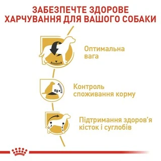 Сухий корм для дорослих собак породи Бігль Royal Canin BEAGLE ADULT 3 кг