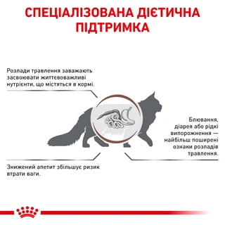 Сухой корм для взрослых кошек Royal Canin Gastro Intestinal Cat 2 кг
