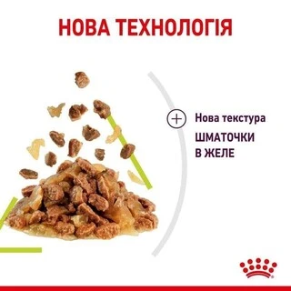 ПАК.Влажный корм Royal Canin SENSORY SMELL JELLY (Желе) для взрослых кошек привередливых в питании 12 шт по 85 г