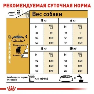 Сухий корм Royal Canin JACK RUSSEL ADULT для дорослих собак породи Джек Рассел Тер'єр 7.5 кг