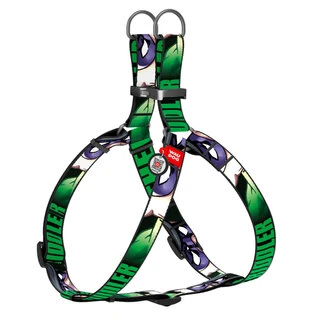 Анатомічний нашийник для собак WAUDOG Nylon з QR паспортом, малюнок "Загадочник", металевий фастекс, Ш 25 мм, Дл 60-90 см