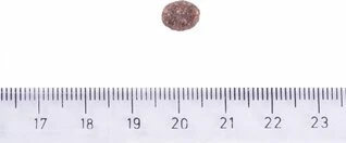 Корм для собак Brit Care Dog Hypoallergenic Adult Small Breed 3кг (ягненок рис)