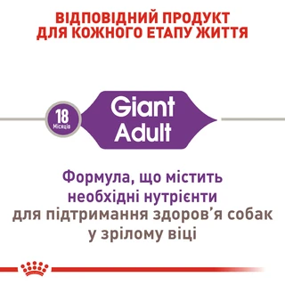 Сухий корм для дорослих собак Royal Canin Giant Adult гігантських порід старше 2 років 15 кг