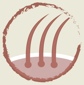 Сухой полнорационный корм Purina Dog Chow для взрослых собак склонных к аллергии с лососем 14 кг