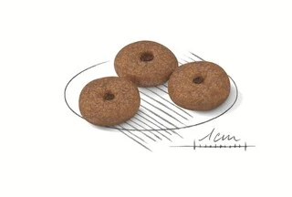 Сухий корм Royal Canin Mini Ageing 12+ для собак дрібних порід старше 12 років 800 г