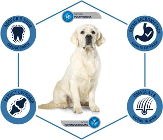 Сухой корм для взрослых собак крупных пород Аdvance Dog Maxi Adult 14 кг (8410650172620)