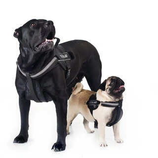 Шлея "Dog Extremе" "POLICE" №2 (В:40-60см), чорний